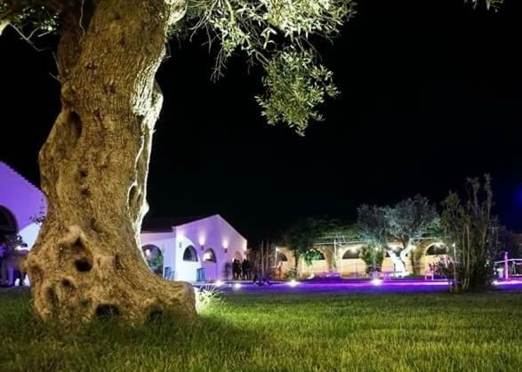 Masseria Colle Carro Ba07200451000019667 Altamura Eksteriør billede