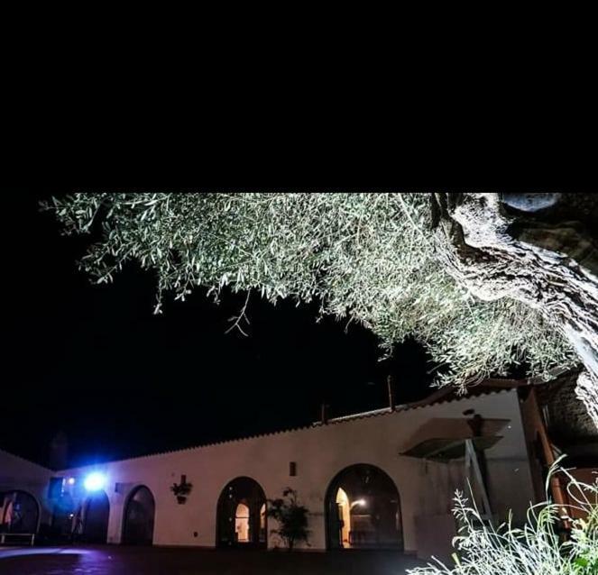 Masseria Colle Carro Ba07200451000019667 Altamura Eksteriør billede